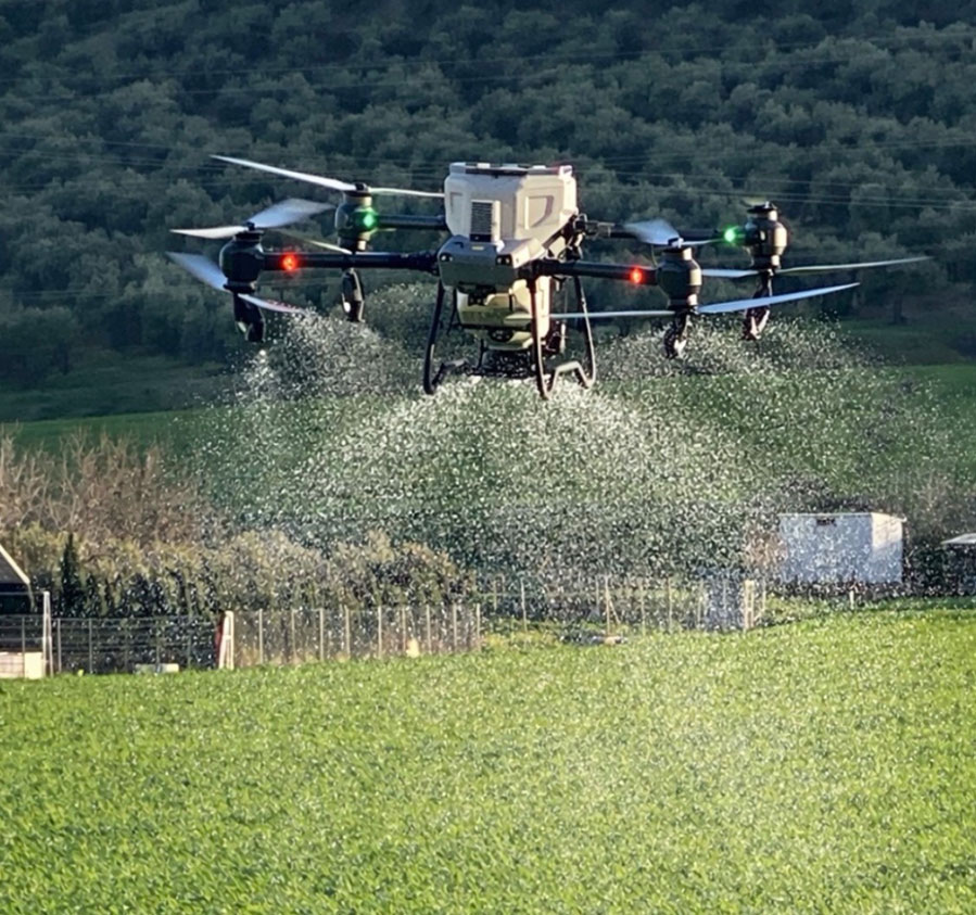https://alonvick.es/wp-content/uploads/2026/04/agroalonvick.jpg